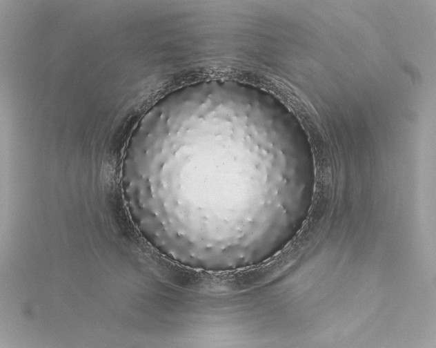 X0000116040610200912041813