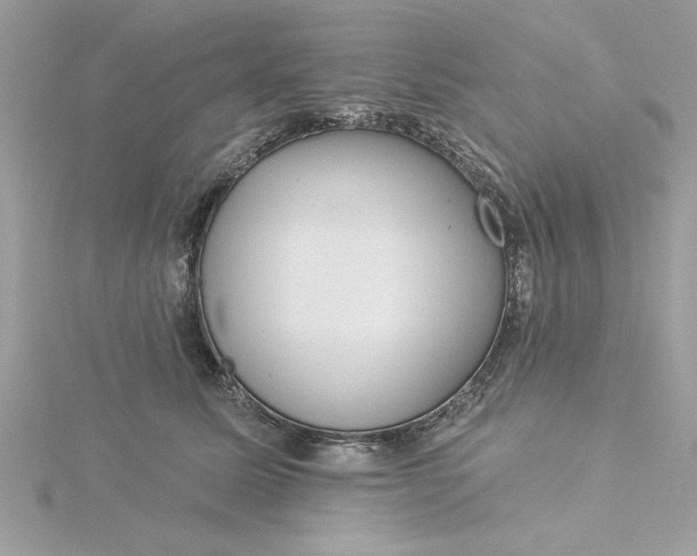 X0000116040611200912041813