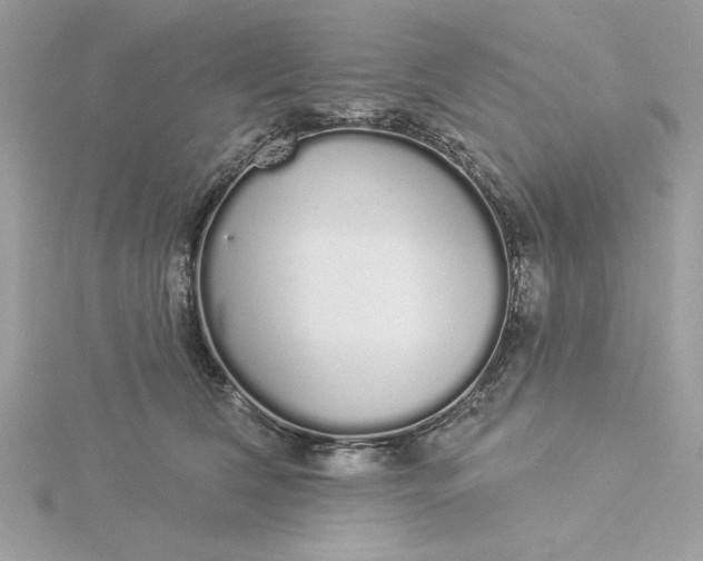 X0000116040612200912041813