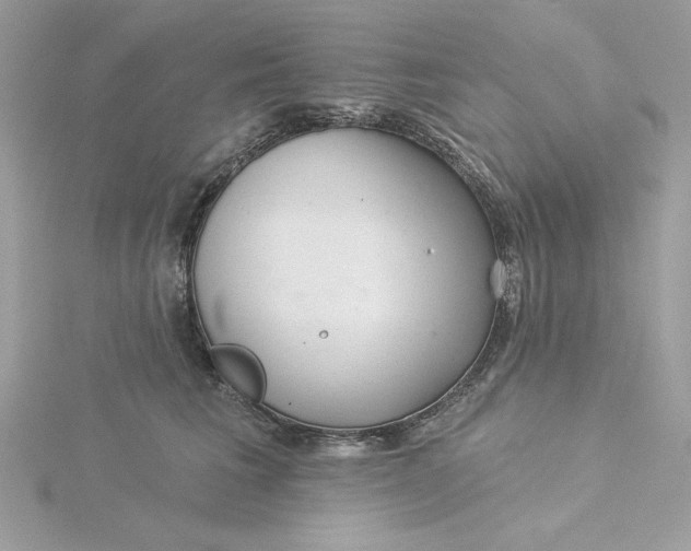 X0000116040613200912041813