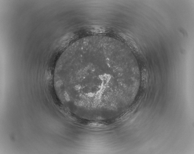 X0000116040614200912041813