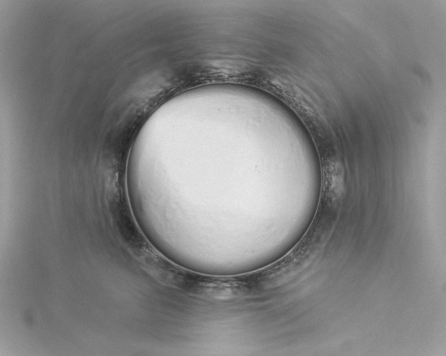 X0000116040615200912041813