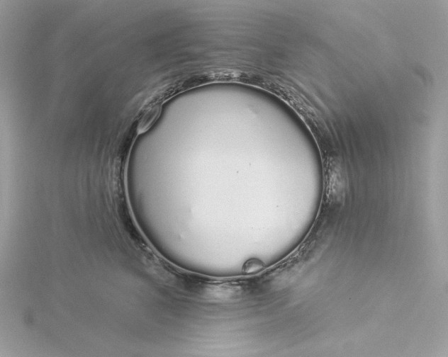 X0000116040616200912041813