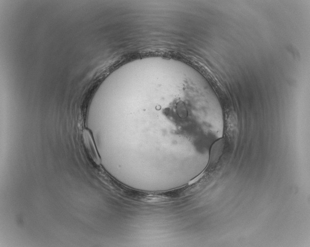 X0000116040617200912041813