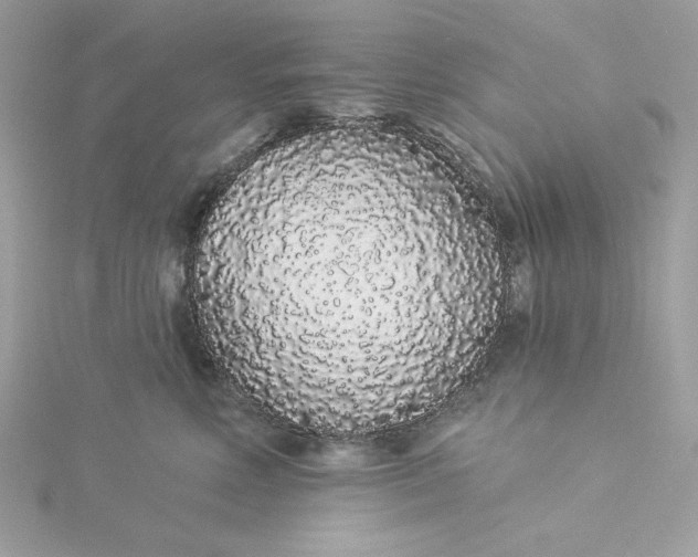 X0000116040618200912041813