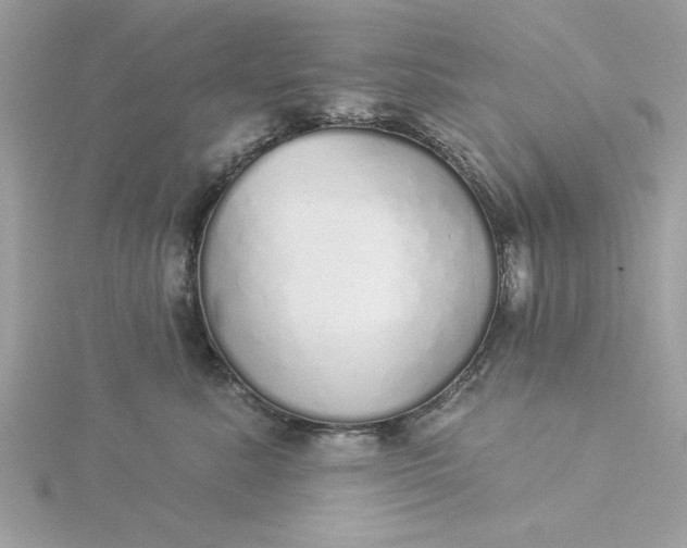 X0000116040619200912041813