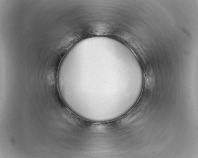 X0000116040620200912041813