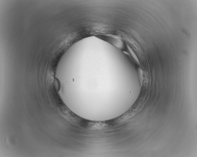 X0000116040621200912041813