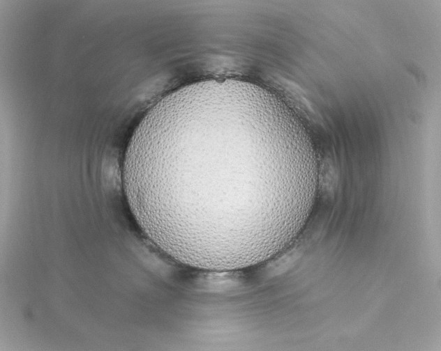 X0000116040622200912041813