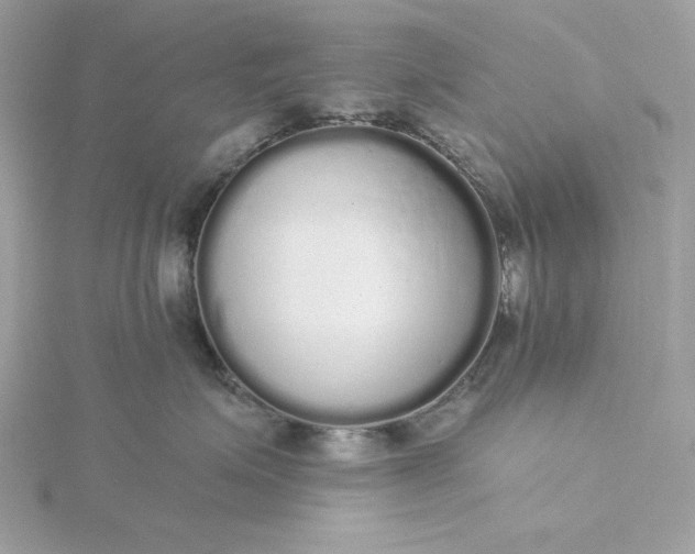 X0000116040623200912041813