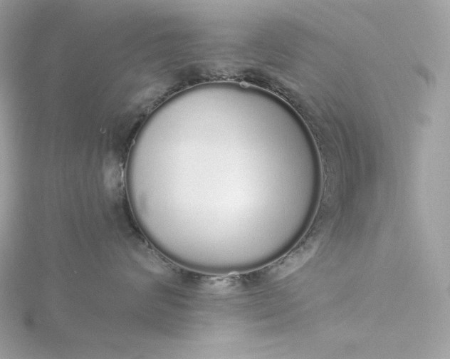 X0000116040624200912041813