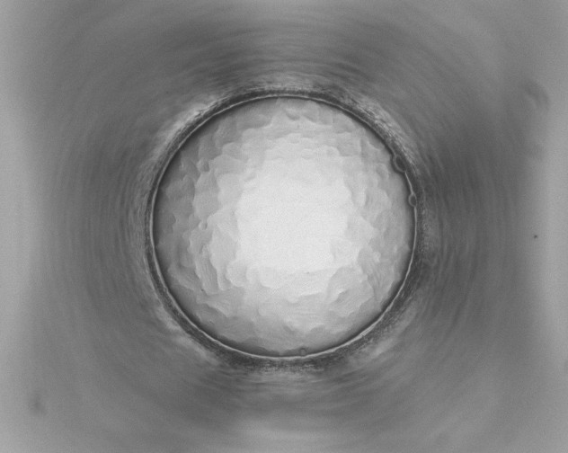 X0000116040625200912041812