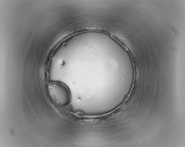 X0000116040626200912041812