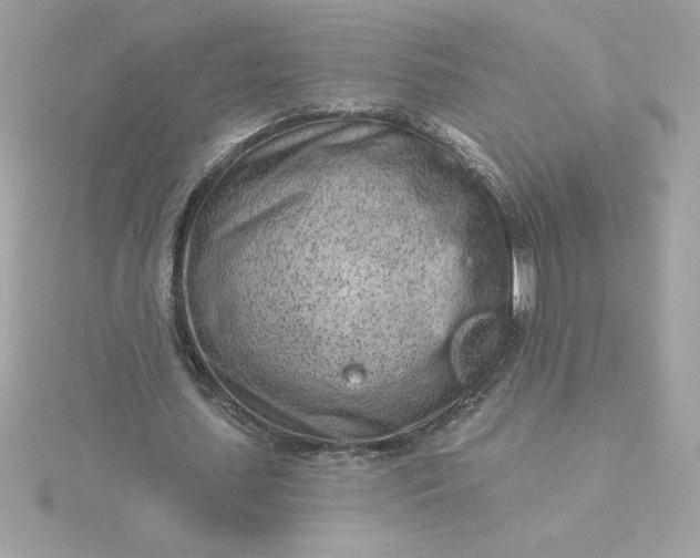 X0000116040627200912041812