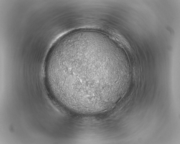 X0000116040628200912041812