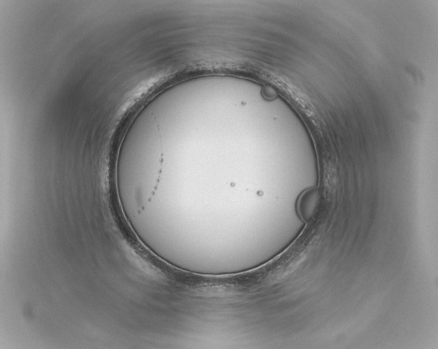 X0000116040629200912041812