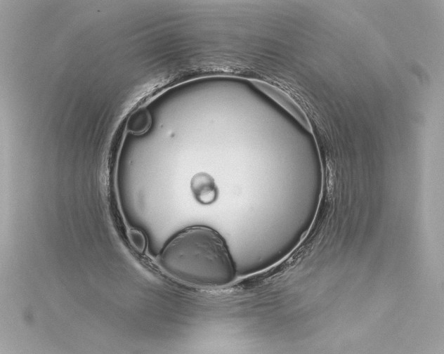 X0000116040630200912041812