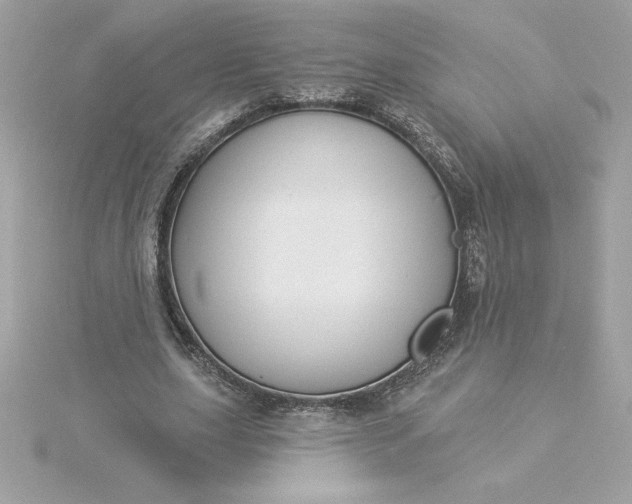 X0000116040631200912041812