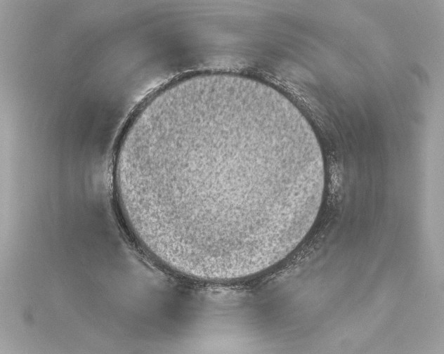 X0000116040632200912041812