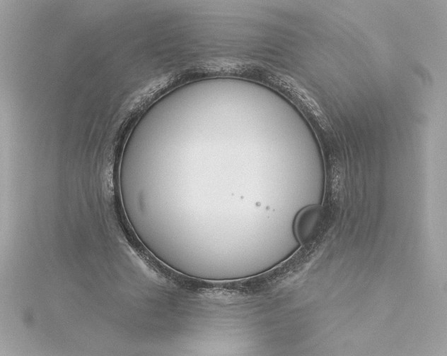 X0000116040633200912041812