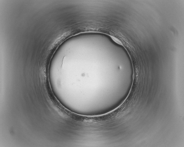 X0000116040634200912041812