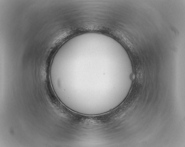 X0000116040635200912041812