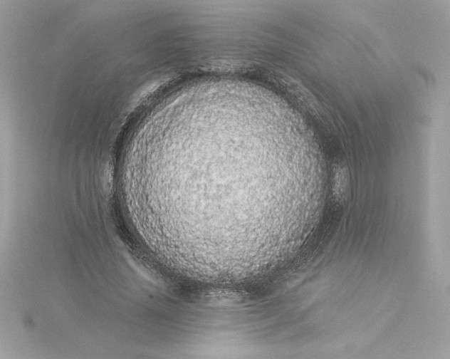 X0000116040636200912041812