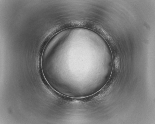 X0000116040637200912041812