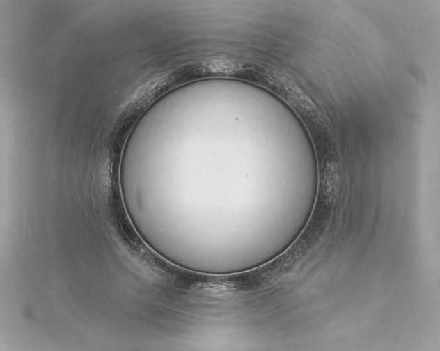 X0000116040639200912041812