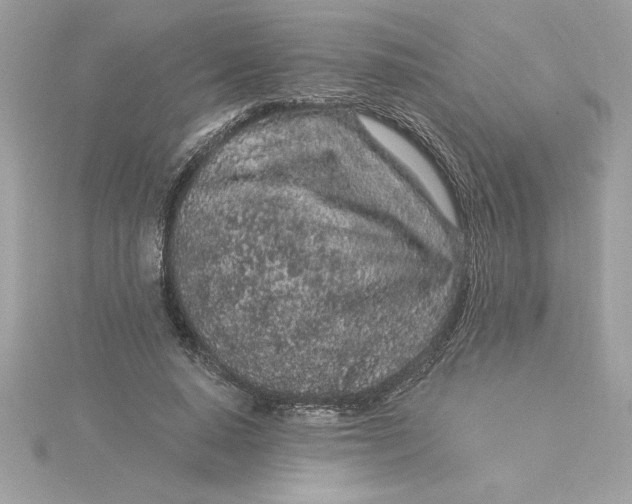 X0000116040640200912041812