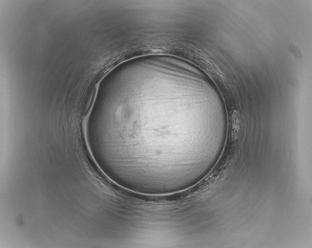 X0000116040641200912041812