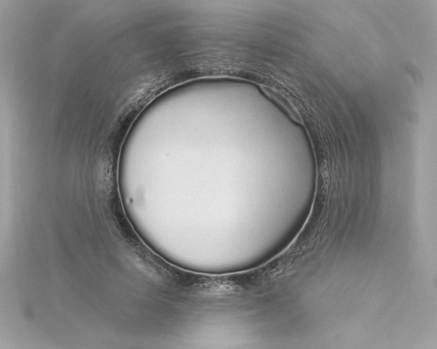 X0000116040642200912041812