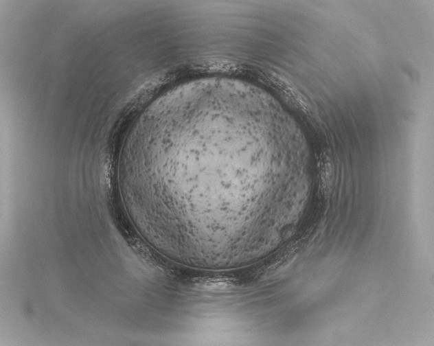 X0000116040643200912041812