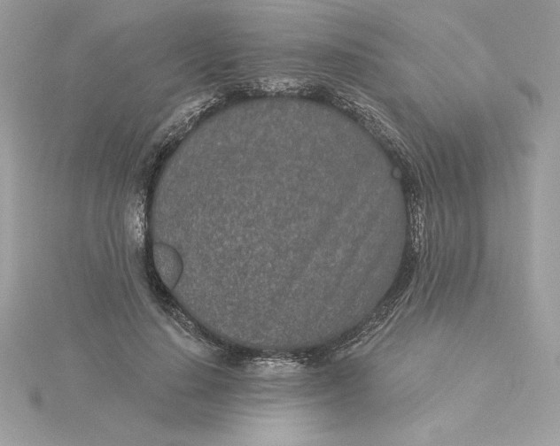 X0000116040644200912041812