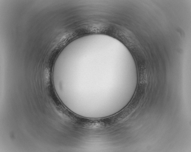 X0000116040646200912041812