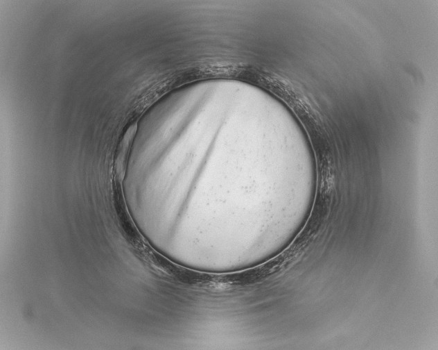 X0000116040647200912041812