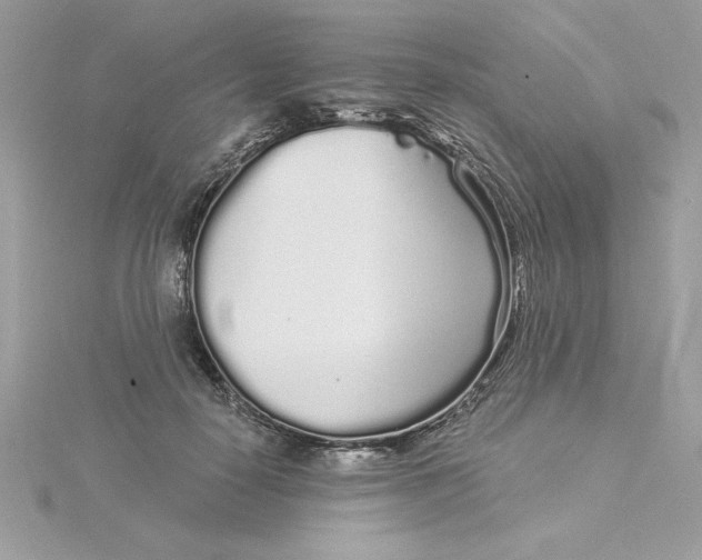 X0000116040650200912041812