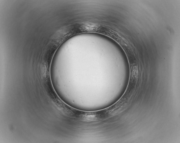 X0000116040651200912041812