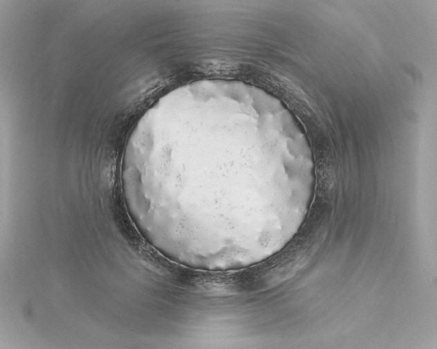 X0000116040652200912041813