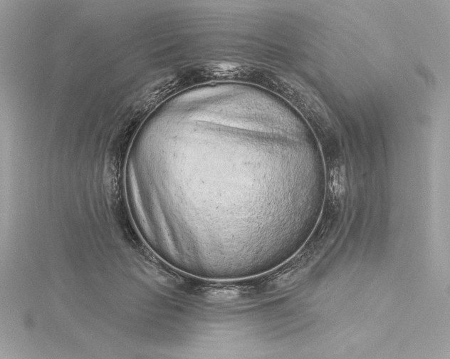 X0000116040653200912041813