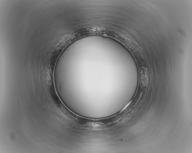 X0000116040654200912041813