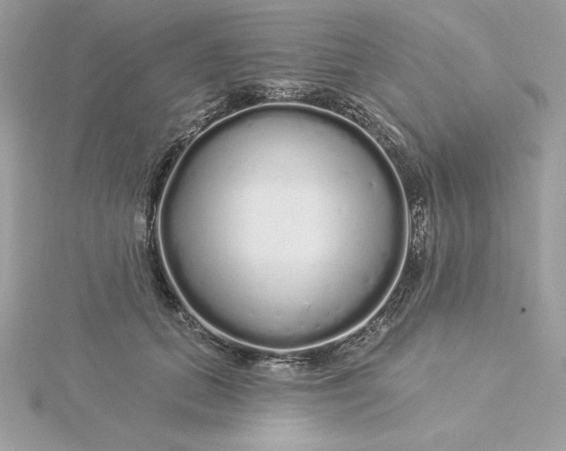 X0000116040655200912041813