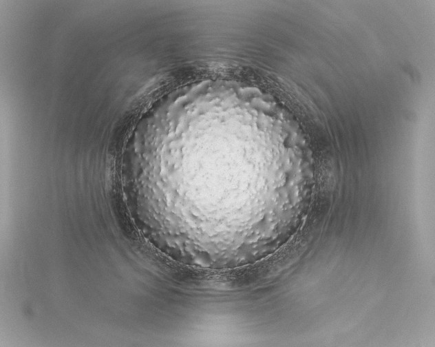 X0000116040656200912041813