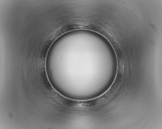 X0000116040657200912041813