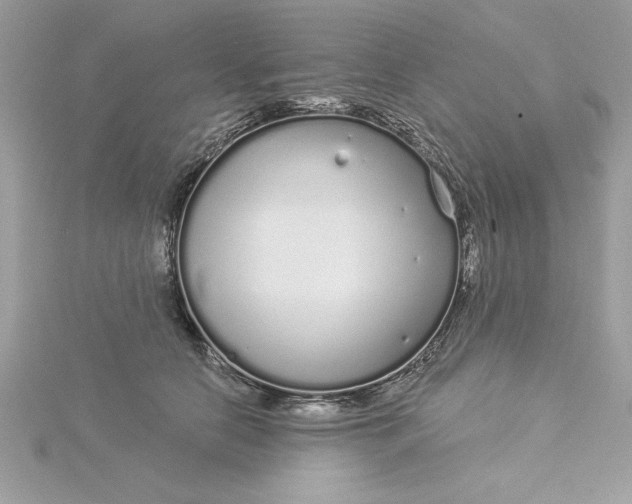 X0000116040658200912041813