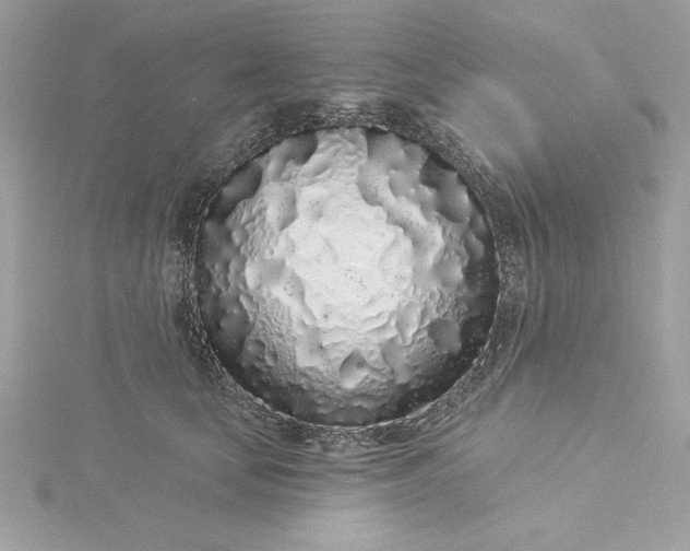 X0000116040659200912041813