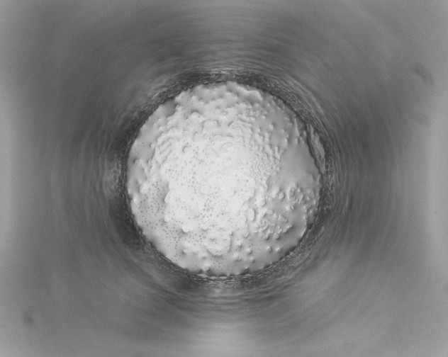 X0000116040660200912041813