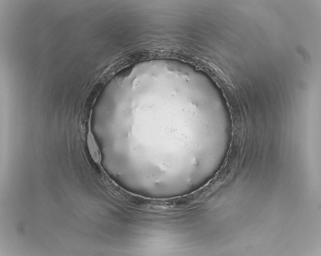 X0000116040661200912041813