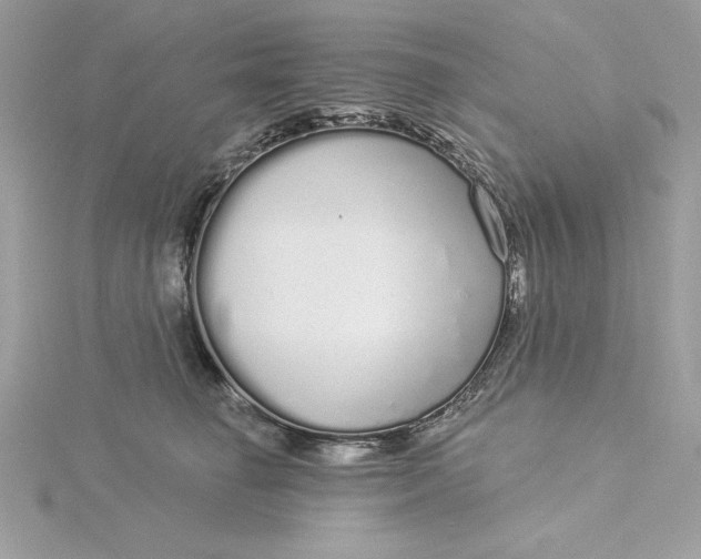 X0000116040662200912041813