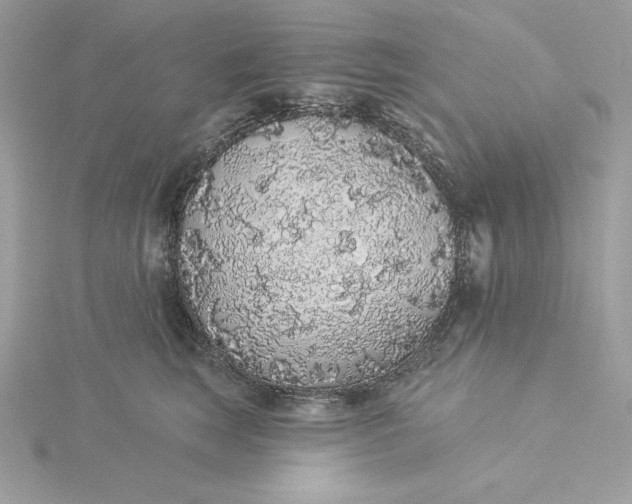 X0000116040663200912041813